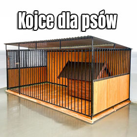 Darmowa dostawa